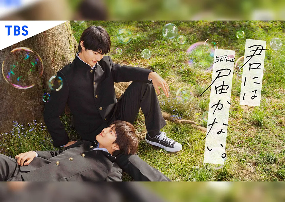 ドラマストリーム『君には届かない。』