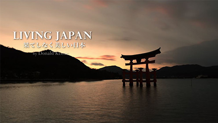 成田空港サイネージ